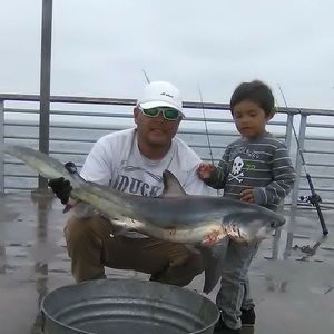 Meet your Posher, Myra & batray